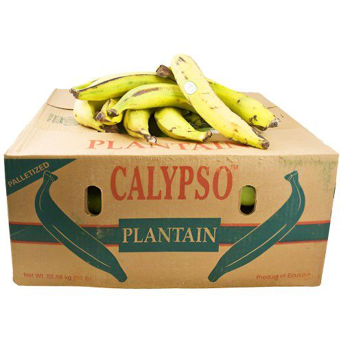 Plantain Yellow 14zt/kg