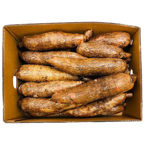 Cassava 20zt/kg